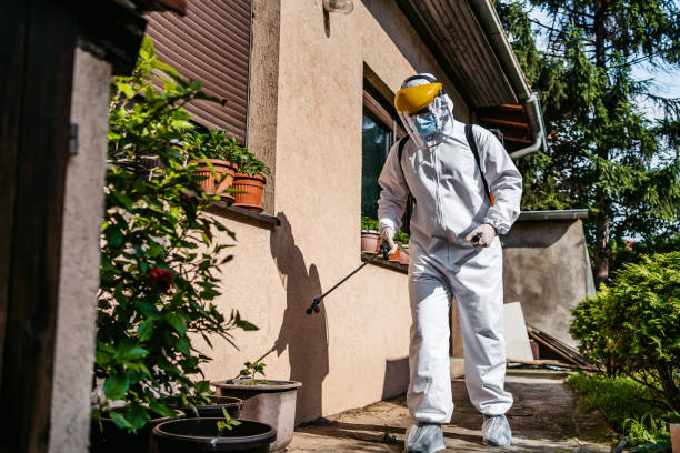 Best Insect Control  in University Park, TX