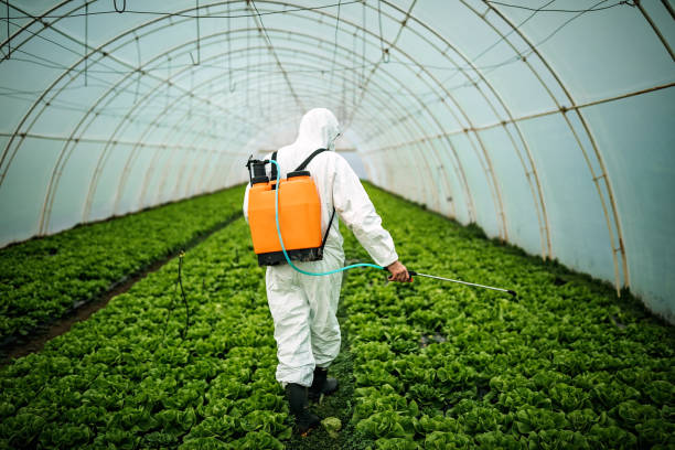 Best Best Pest Control Companies  in University Park, TX