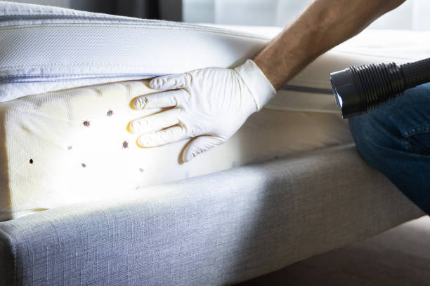 Best Pest Prevention Services  in University Park, TX