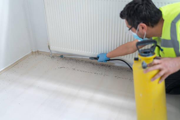 Best Residential Pest Control  in University Park, TX