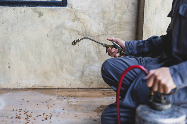 Pest Prevention Services in University Park, TX
